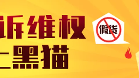 绿军官方晒新援乔治和康利训练图，乔治表情专注，新赛季备战情况